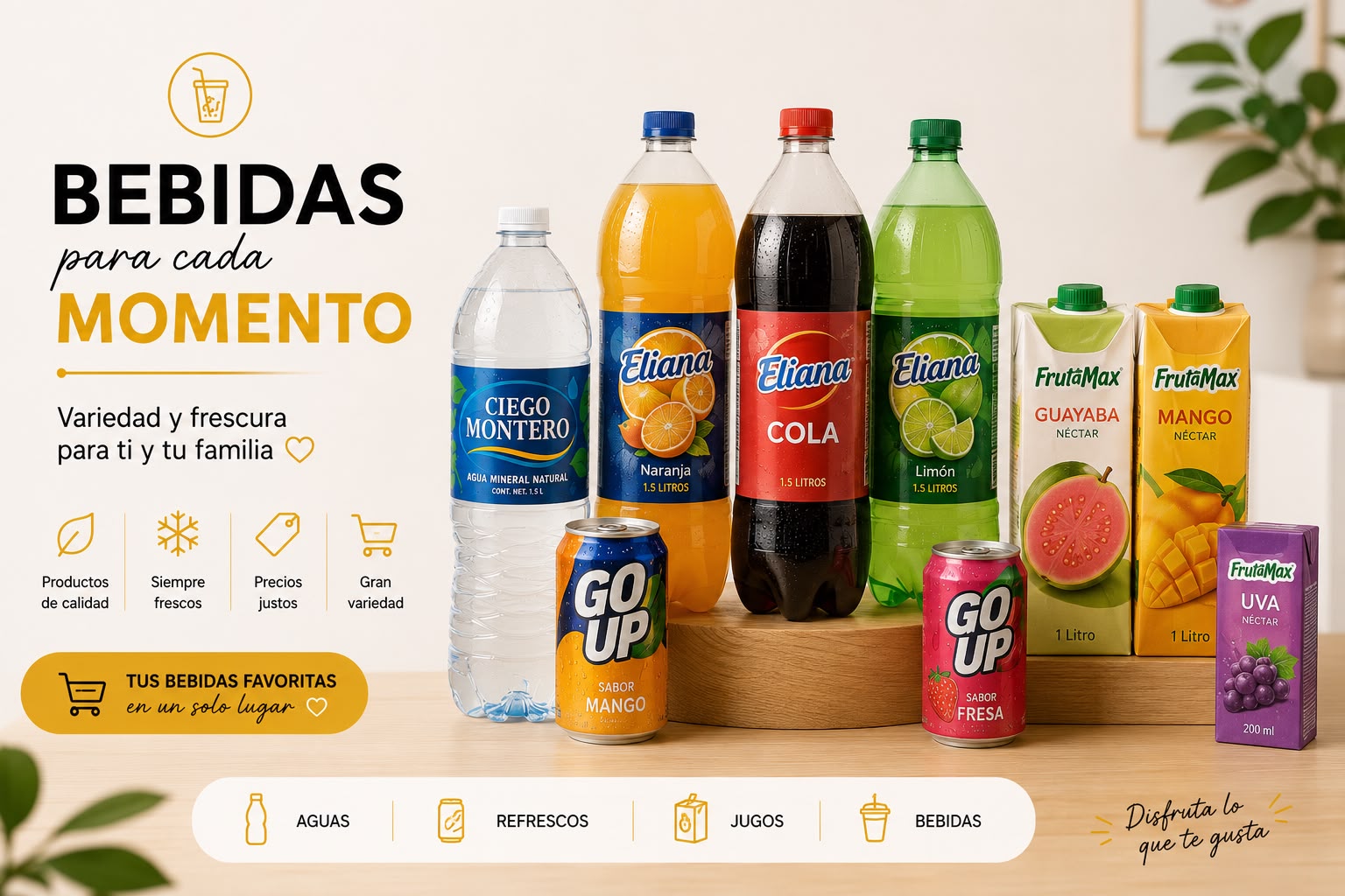 Bebidas Variadas